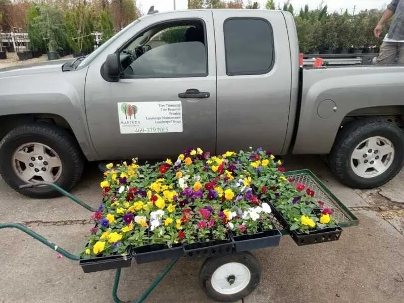 Custom lawn mowing service in Dallas, TX by Miranda Landscape and Drainage Systems