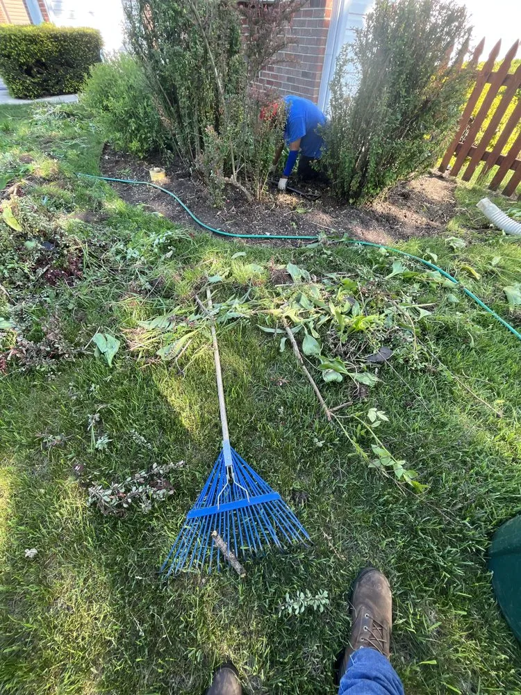 Top-rated yard cleanup service for residential properties in Chicago, IL by Miranda Landscaping