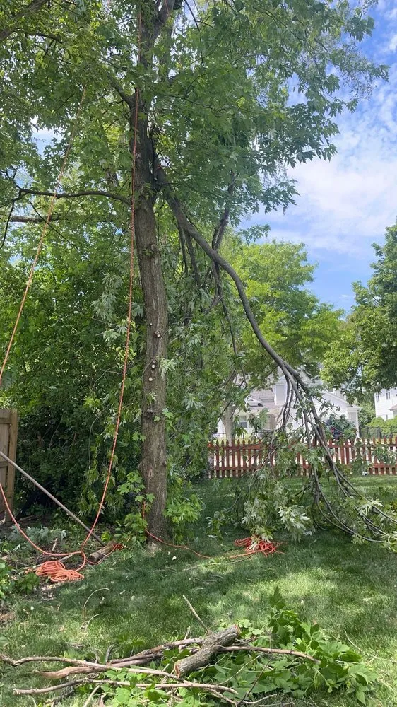 Expert landscaping services for homes across Chicago, IL - Miranda Landscaping