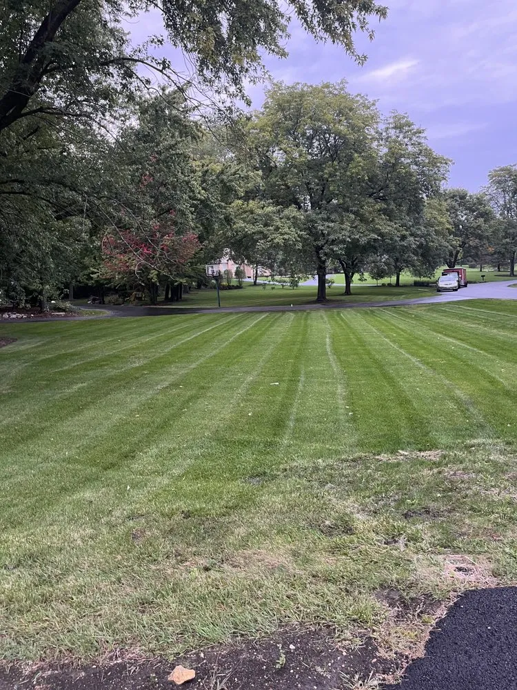 Affordable outdoor landscaping for homes across Chicago, IL - Miranda Landscaping