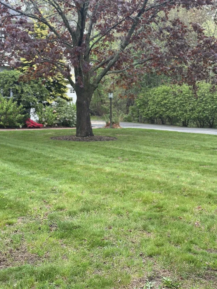 Expert lawn care service in Lynn, MA by Miranda Landscaping