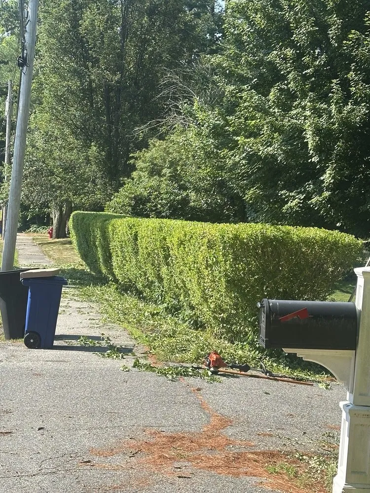 Professional lawn mowing service with custom design in Lynn, MA by Miranda Landscaping