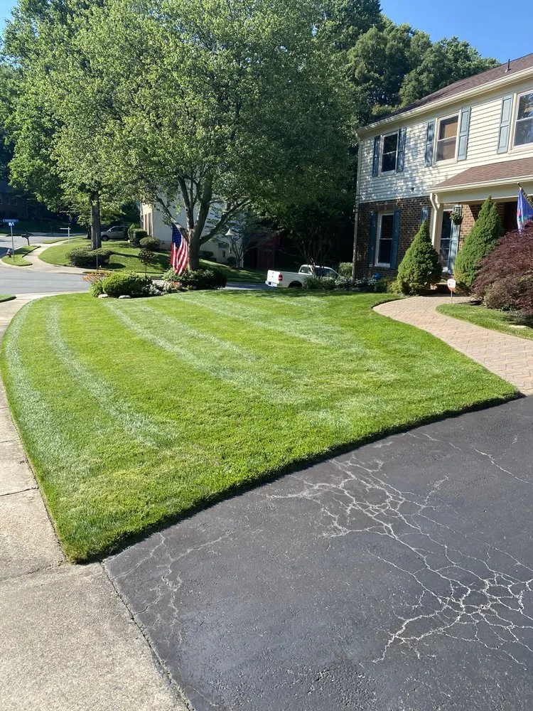 Custom yard cleanup service in Manassas, VA by Miranda Landscaping