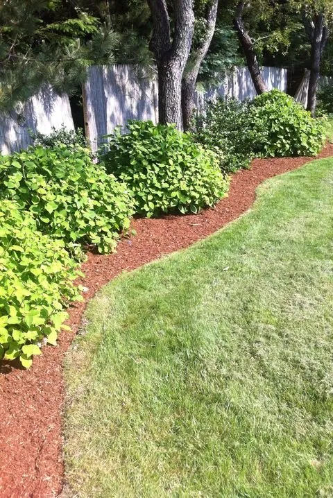 Expert yard cleanup service experts serving Manassas, VA - Miranda Landscaping