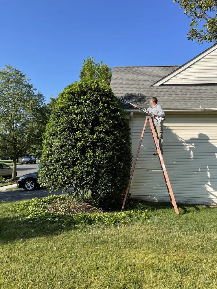 Trusted landscape design in Manassas, VA by Miranda Landscaping