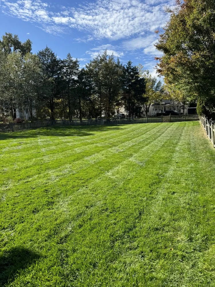 Affordable lawn care service experts serving Manassas, VA - Miranda Landscaping