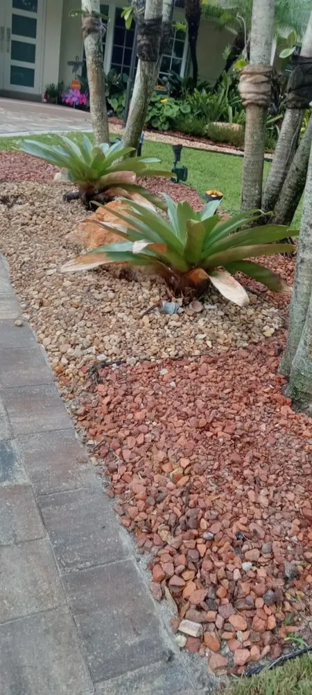 Trusted lawn care service for year-round maintenance across Miami, FL - Miranda Landscaping