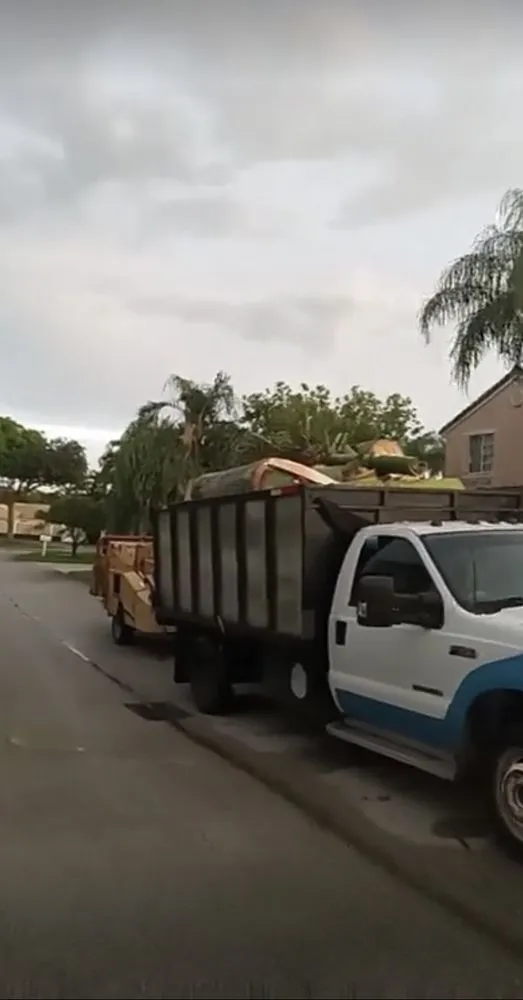 Local residential landscaping experts serving Miami, FL - Miranda Landscaping