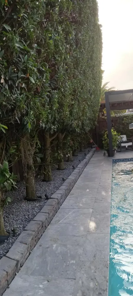 Expert residential landscaping in Miami, FL - Miranda Landscaping