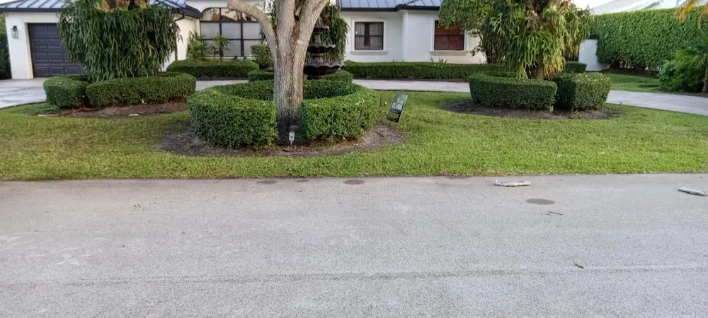 Trusted yard maintenance in Miami, FL by Miranda Landscaping