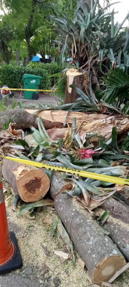 Affordable landscape installation experts serving Miami, FL - Miranda Landscaping