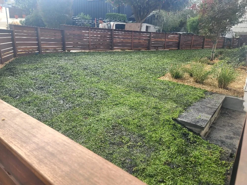 Affordable yard cleanup service in San Pablo, CA by Miranda Landscaping