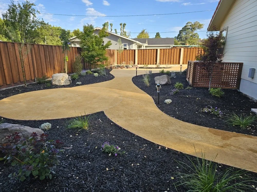 Top-rated yard cleanup service in San Pablo, CA - Miranda Landscaping
