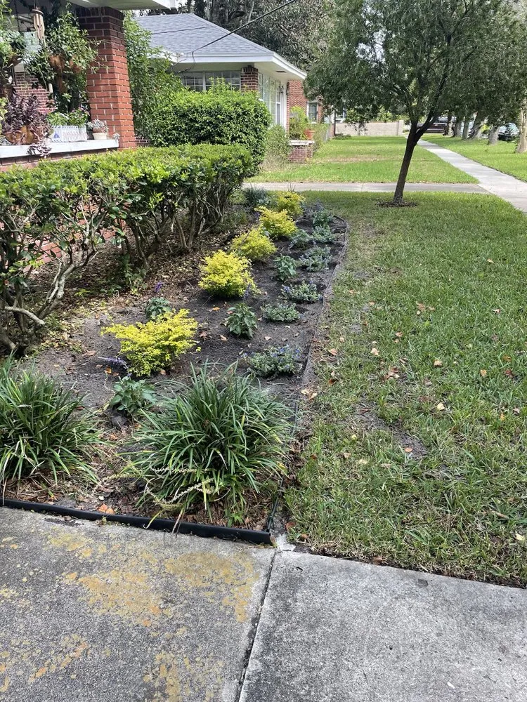 Reliable yard maintenance in Green Cove Springs, FL - Miranda Landscaping Services