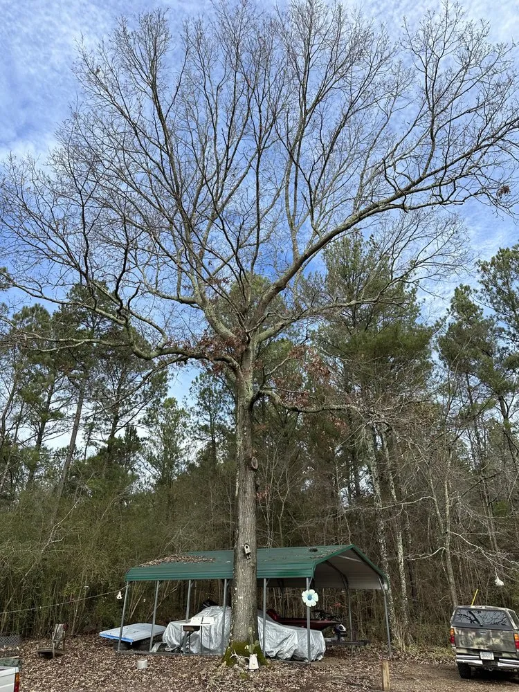 Reliable landscape design experts serving Rome, GA - Mirandas Lawn and Tree Care