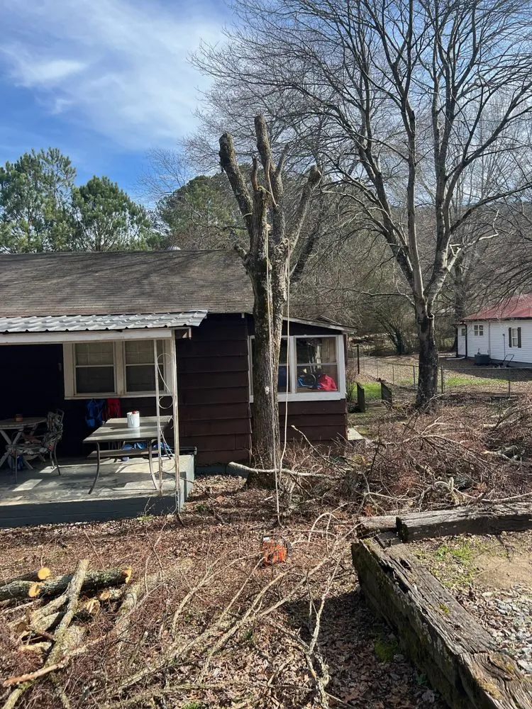 Expert landscape installation in Rome, GA by Mirandas Lawn and Tree Care