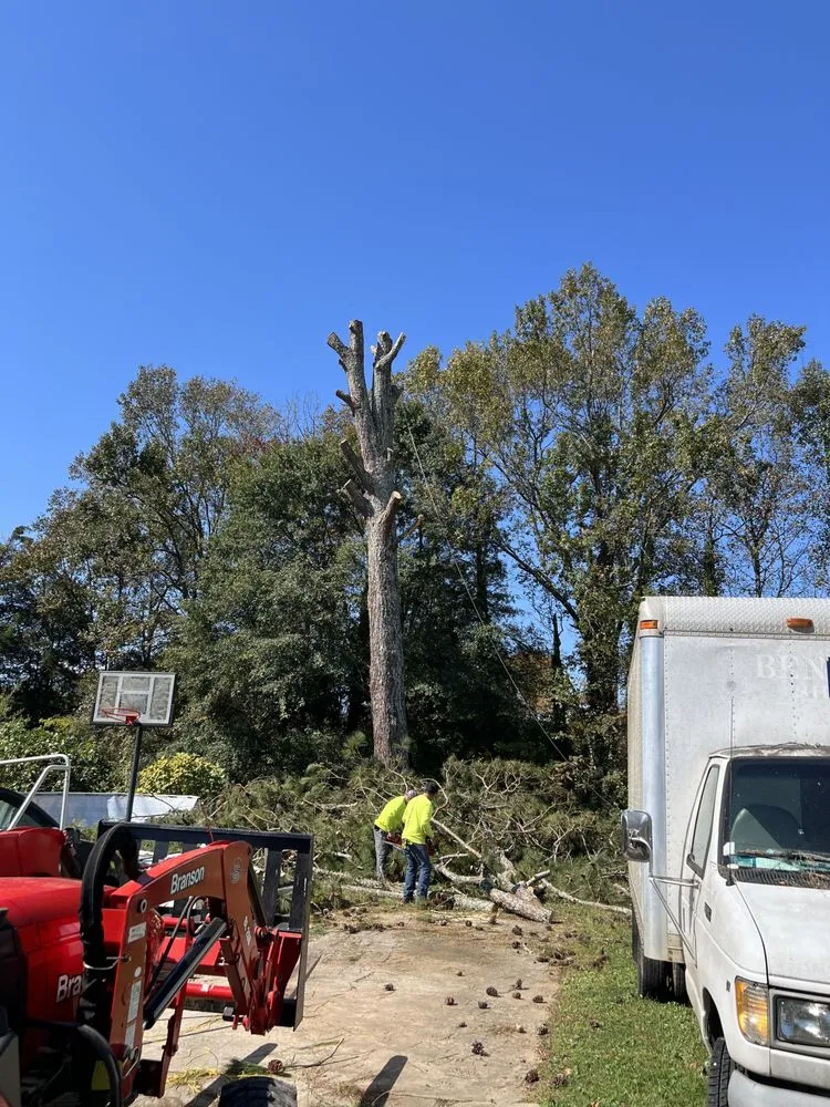 Top-rated yard cleanup service for residential properties across Rome, GA - Mirandas Lawn and Tree Care