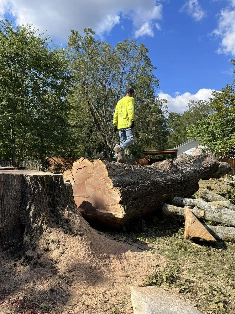 Affordable outdoor landscaping for year-round maintenance across Rome, GA - Mirandas Lawn and Tree Care