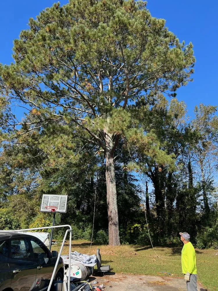 Top-rated landscape installation in Rome, GA by Mirandas Lawn and Tree Care