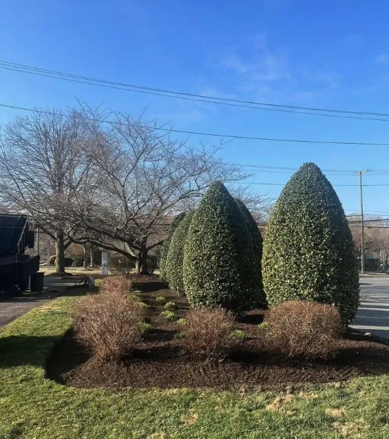 Top-rated yard maintenance for outdoor upgrades in Wilmington, MA by Miranda’s Snow Lawn Care