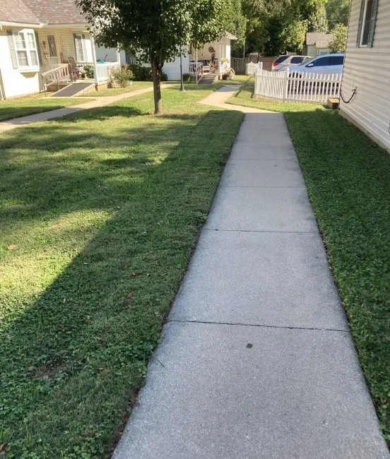 Professional yard maintenance for outdoor upgrades in Wilmington, MA by Miranda’s Snow Lawn Care