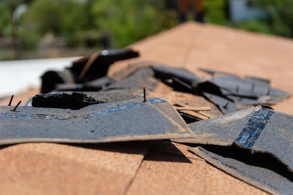 Top-rated garden landscaping experts serving El Paso, TX - Mireles Roofing and Construction