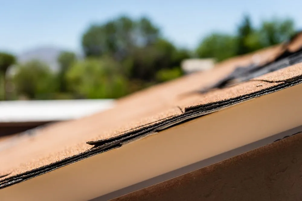 Trusted landscape installation with custom design in El Paso, TX by Mireles Roofing and Construction