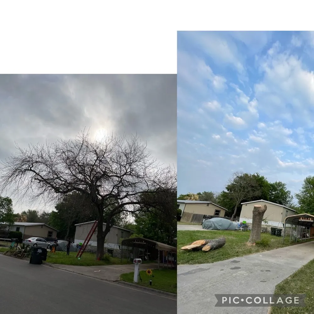 Custom outdoor landscaping for beautiful yards in Lockhart, TX by MirelesLawnService