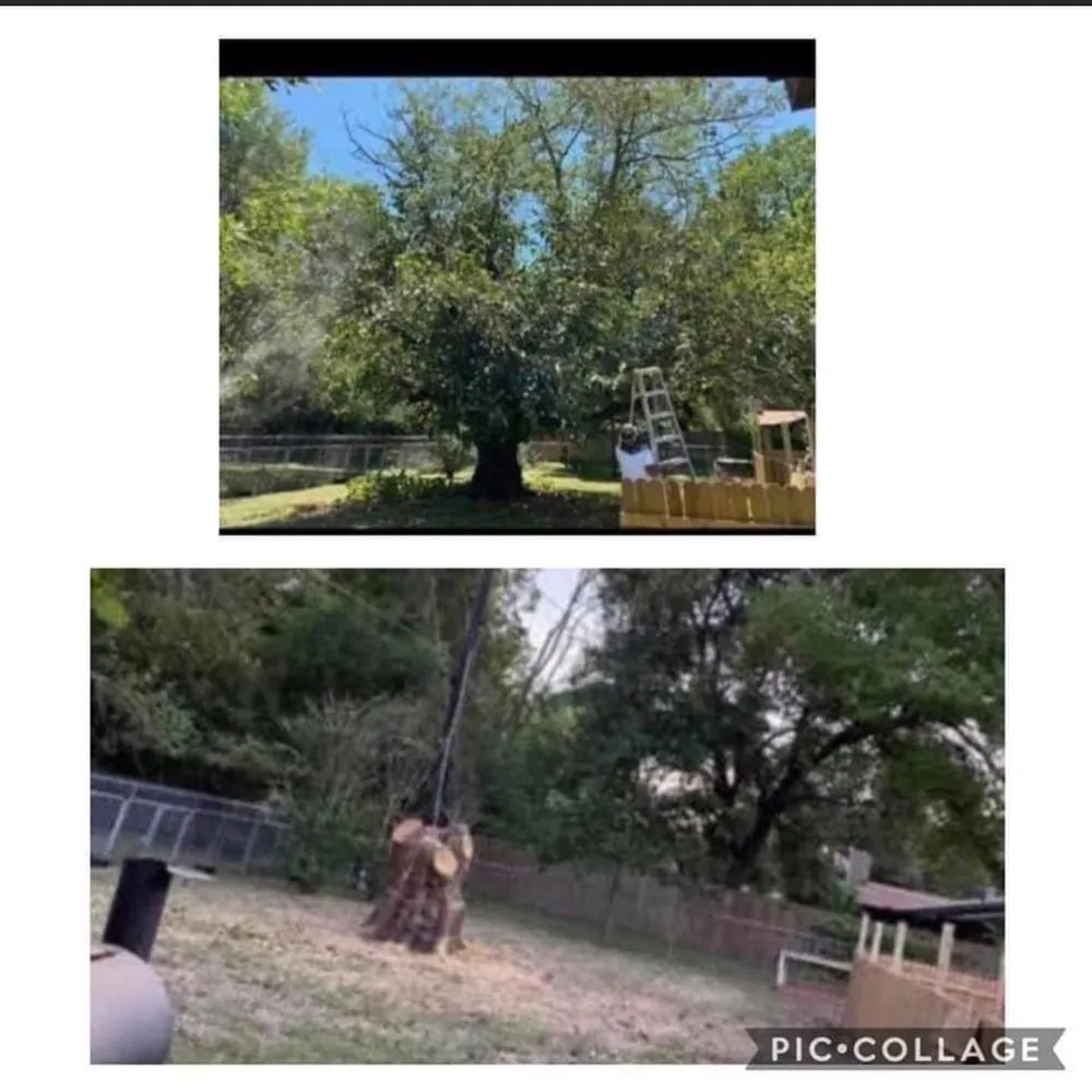 Top-rated landscape design experts serving Lockhart, TX - MirelesLawnService