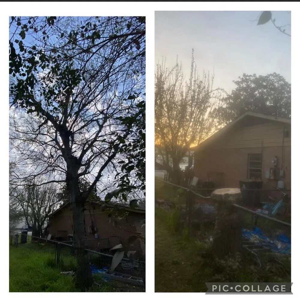 Reliable garden landscaping experts serving Lockhart, TX - MirelesLawnService