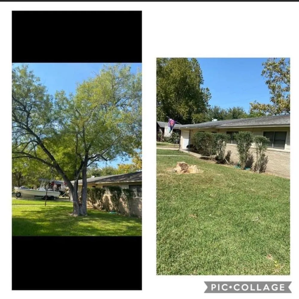 Top-rated landscaping services in Lockhart, TX by MirelesLawnService