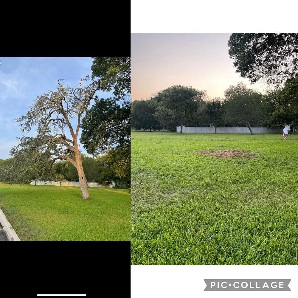 Trusted yard cleanup service for outdoor upgrades in Lockhart, TX by MirelesLawnService