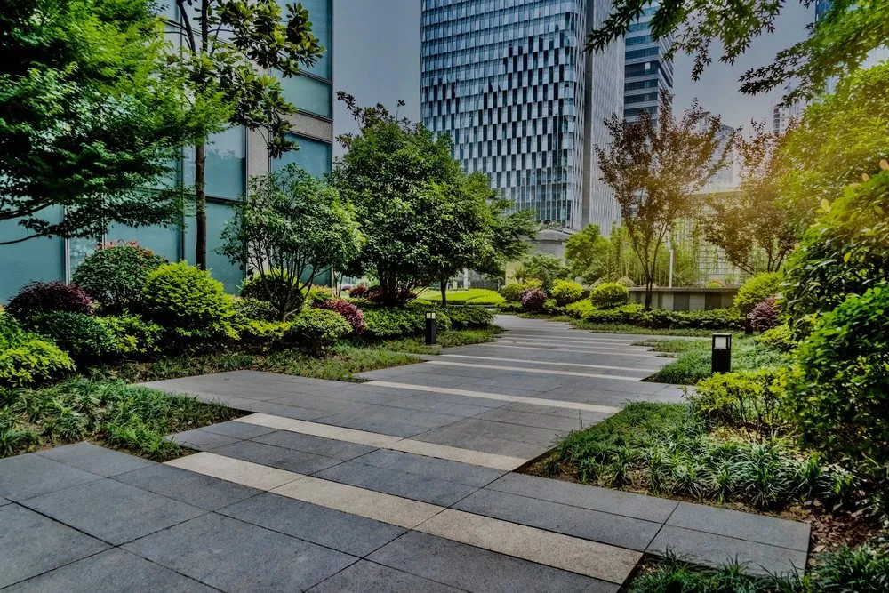 Affordable garden landscaping in Jackson, TN - Mirror Lawn Turf Doctor