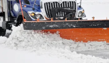 Affordable landscaping services experts serving Jackson, TN - Mirror Lawn Turf Doctor