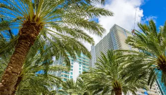 Professional outdoor landscaping for outdoor upgrades in Jackson, TN by Mirror Lawn Turf Doctor