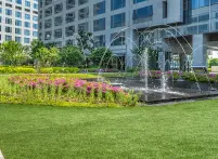 Affordable outdoor landscaping in Jackson, TN by Mirror Lawn Turf Doctor