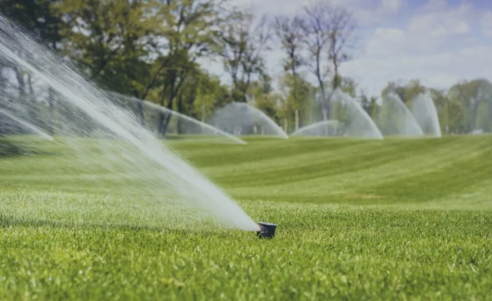 Professional lawn mowing service experts serving Freeport, NY - Misael and son’s land sprinklers