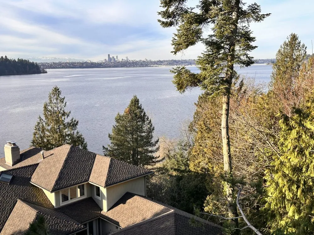 Top-rated yard cleanup service in Renton, WA by Misael Tree Services