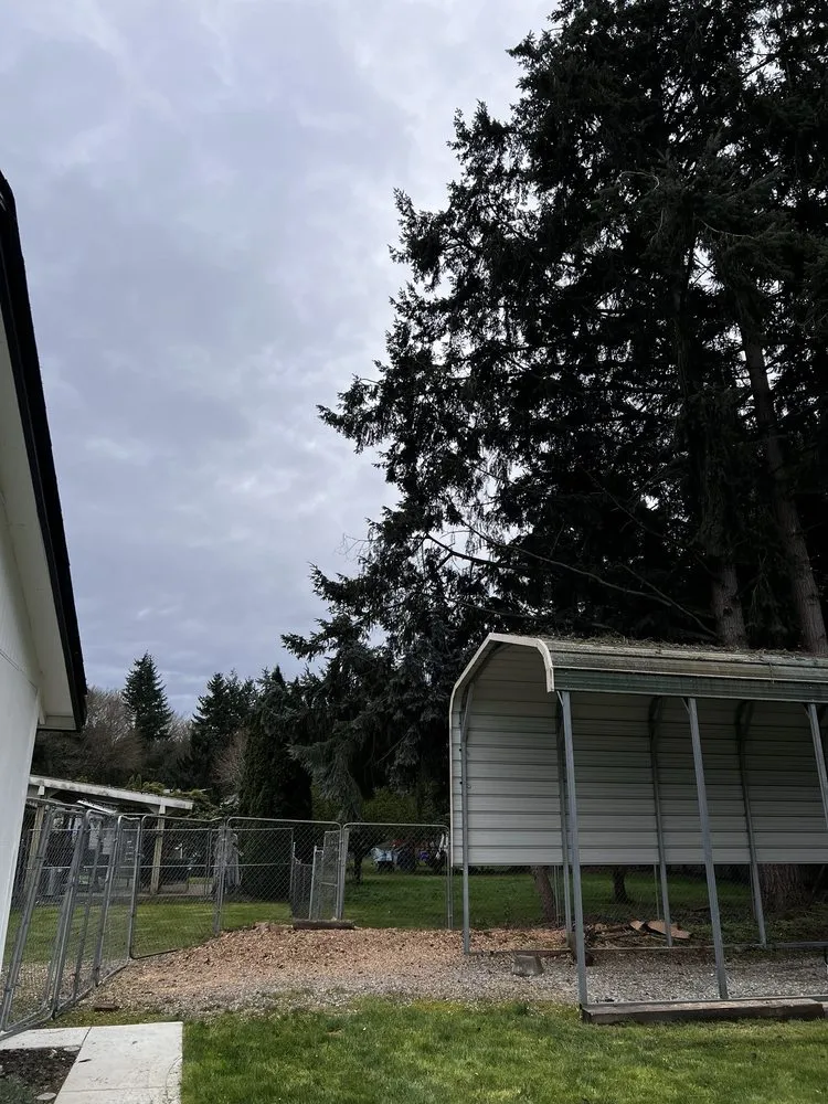 Custom landscaping services for year-round maintenance across Renton, WA - Misael Tree Services