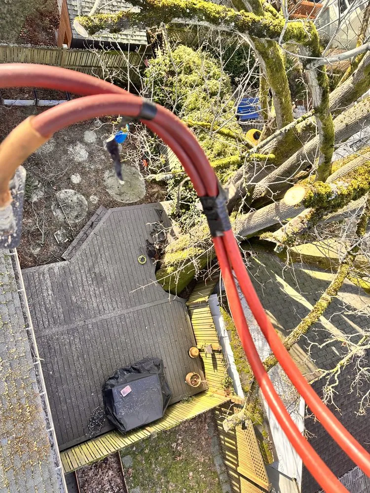 Professional landscape design in Renton, WA by Misael Tree Services