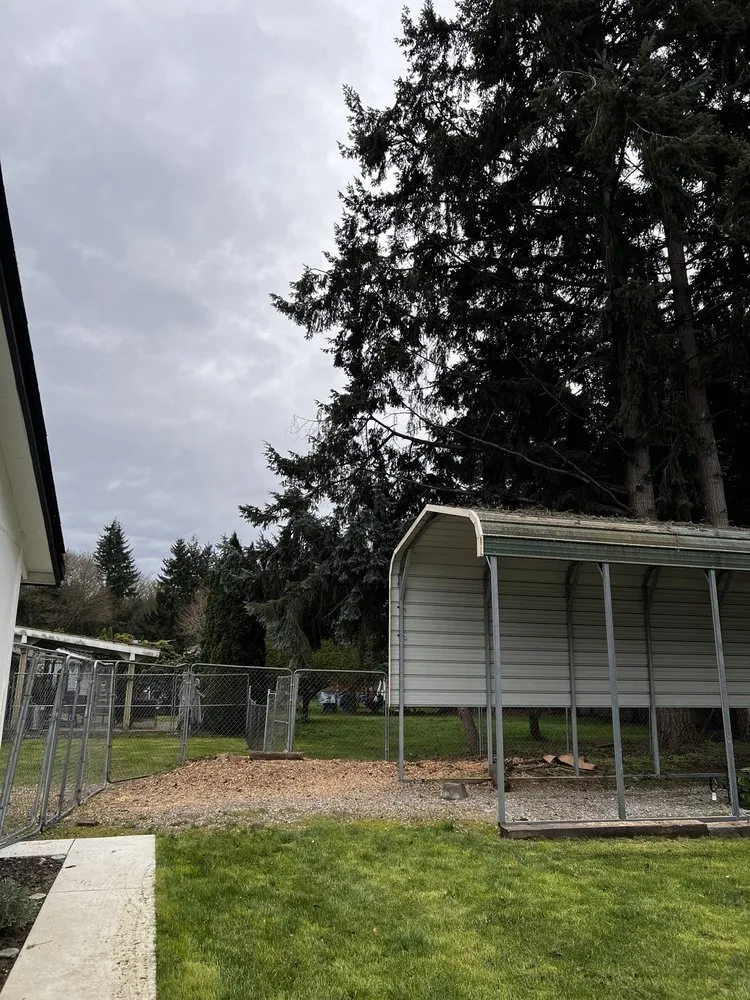 Local landscape design in Renton, WA - Misael Tree Services