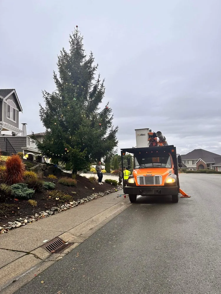 Local yard cleanup service experts serving Renton, WA - Misael Tree Services