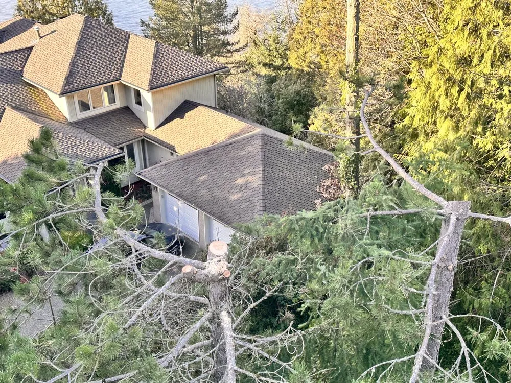 Top-rated yard cleanup service experts serving Renton, WA - Misael Tree Services