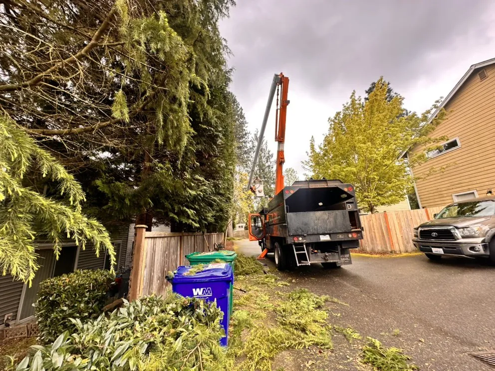 Affordable lawn mowing service for outdoor upgrades across Renton, WA - Misael Tree Services