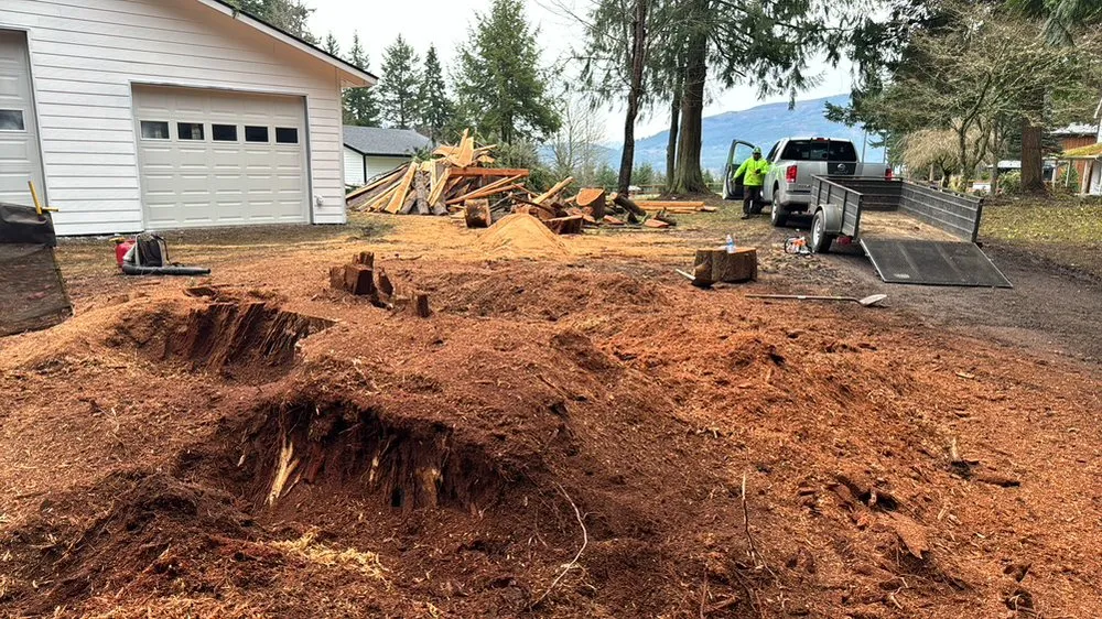 Professional lawn mowing service experts serving Renton, WA - Misael Tree Services