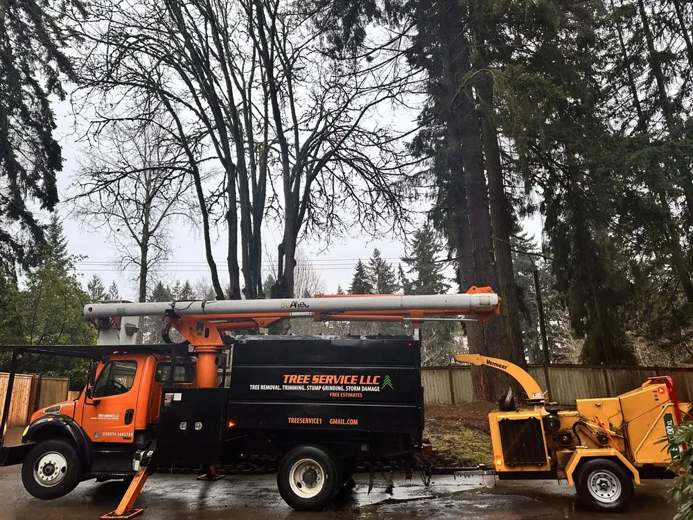 Affordable landscape installation in Renton, WA - Misael Tree Services