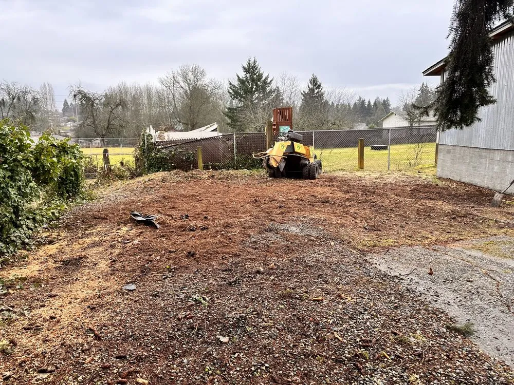 Reliable landscape design in Renton, WA - Misael Tree Services