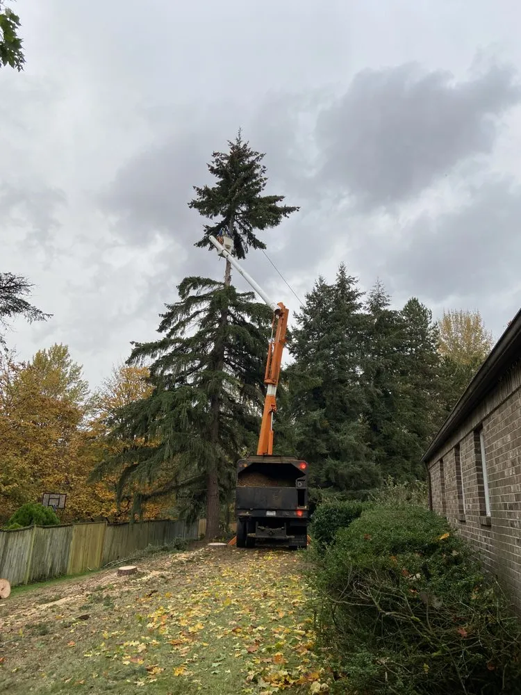 Top-rated residential landscaping in Renton, WA by Misael Tree Services