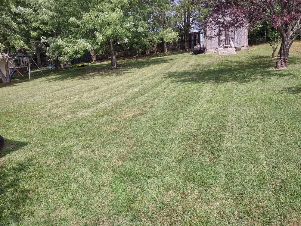 Top-rated residential landscaping for year-round maintenance in Greensboro, NC by Miscellaneous Man