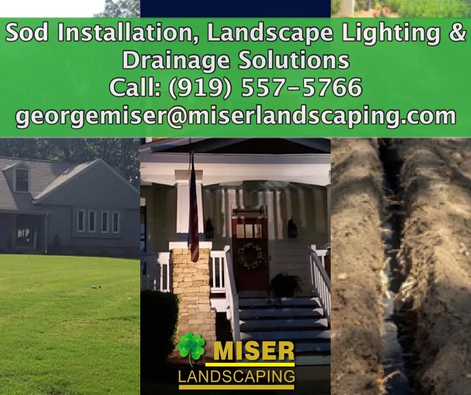 Trusted yard cleanup service in Fuquay-Varina, NC by Miser Landscaping
